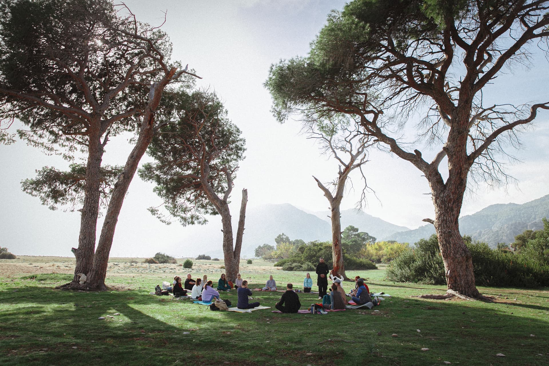 Ağaçlar altında grup meditasyonu