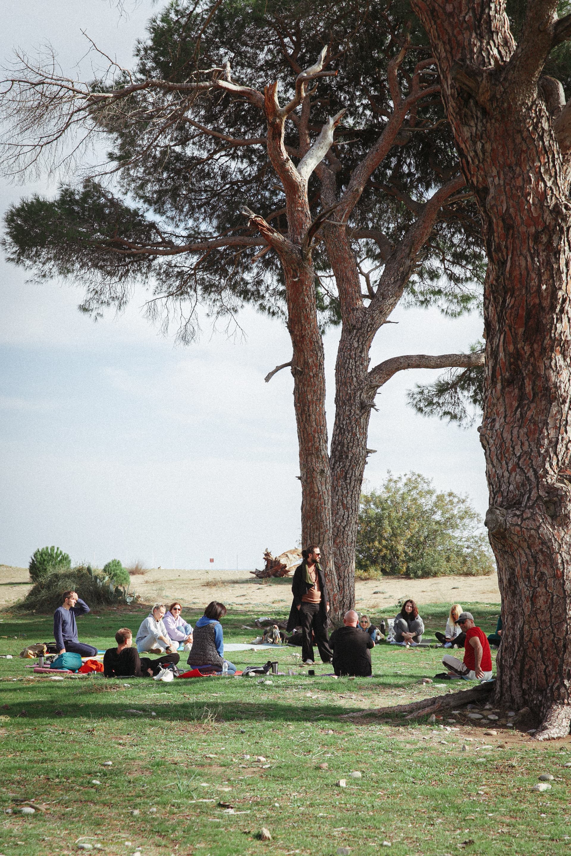 Doğada grup buluşması